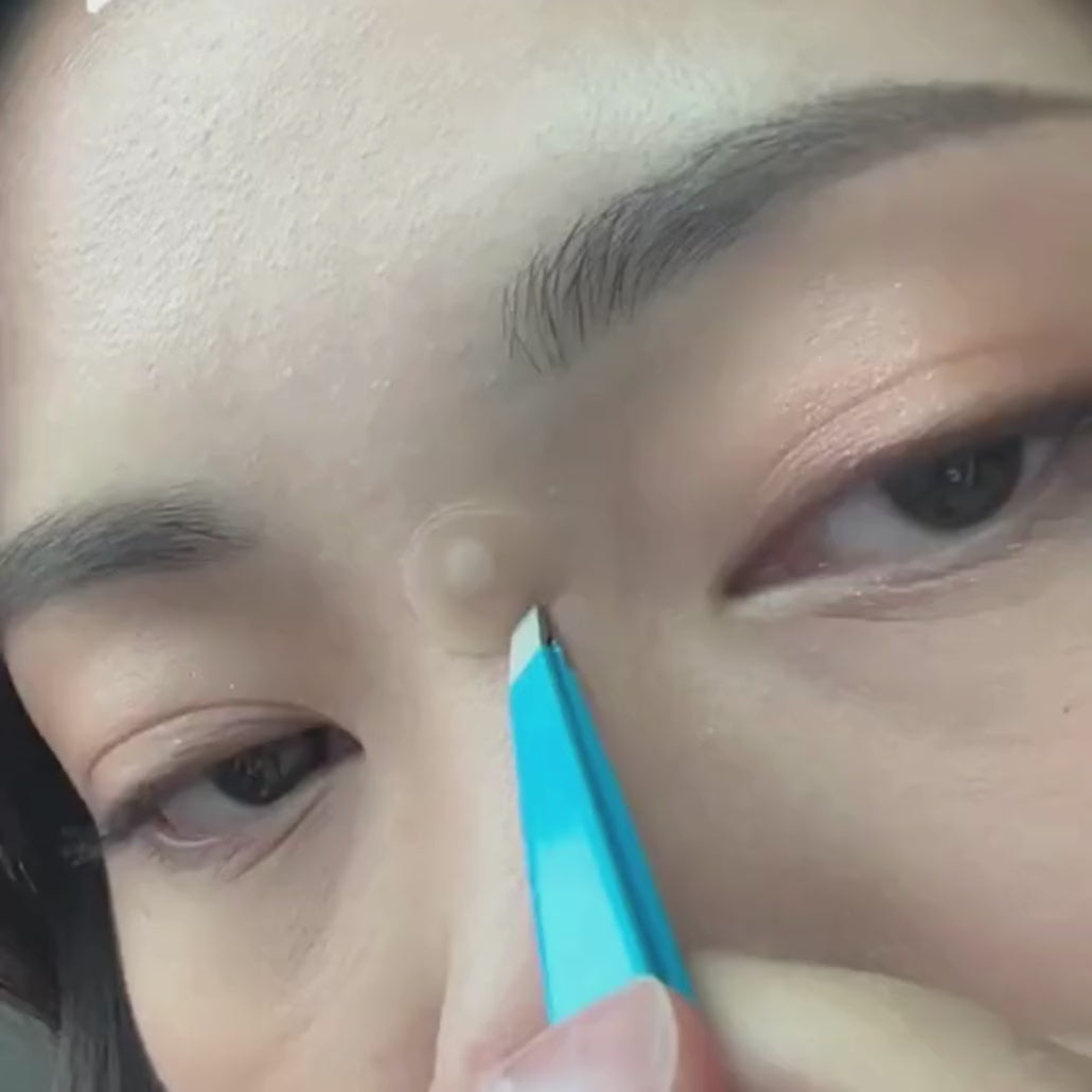 Charger la vidéo : 